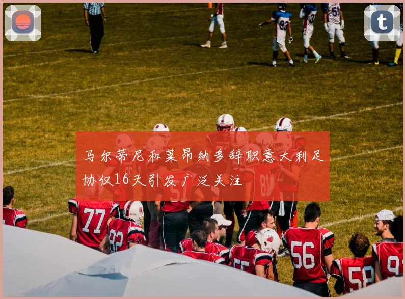 马尔蒂尼和莱昂纳多辞职意大利足协仅16天引发广泛关注