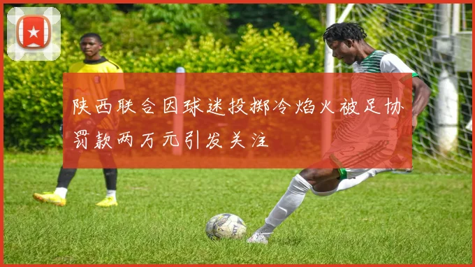 陕西联合因球迷投掷冷焰火被足协罚款两万元引发关注
